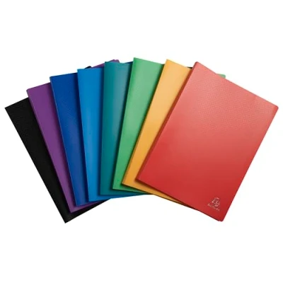 Afbeelding van Exacompta 8520E 20x Showalbum PP 20 tas A4 geass.