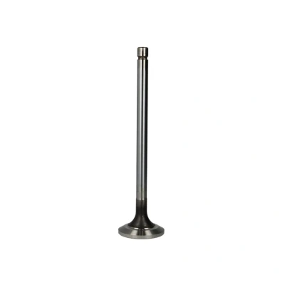 Afbeelding van TRW Engine Component Uitlaatklep 105 35649