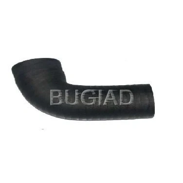 Afbeelding van Laadluchtslang BUGIAD 84612