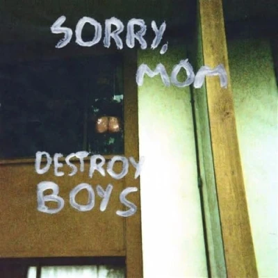 Afbeelding van Destroy Boys Sorry Mom (LP)