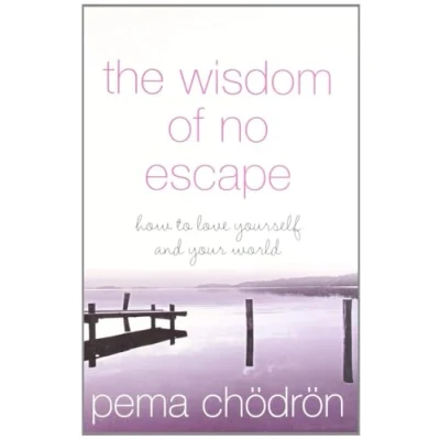 Afbeelding van Wisdom Of No Escape