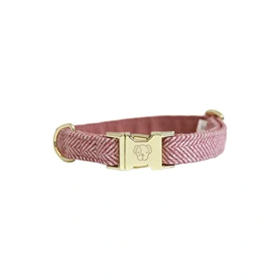 Afbeelding van Kentucky Hondenhalsband Wol Lichtroze XL Agradi.be