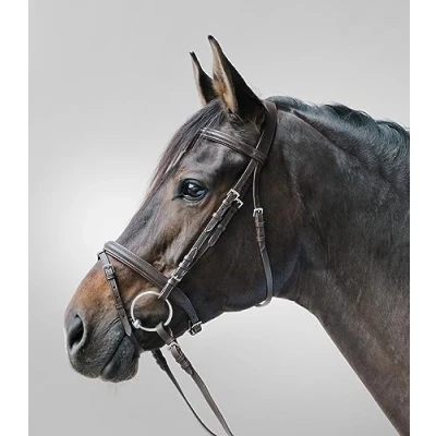 Afbeelding van STAR Bridle Lifestyle Cob