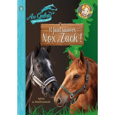 Image de Roman AU GALOP, une année à cheval Il faut sauver Nox et Zach