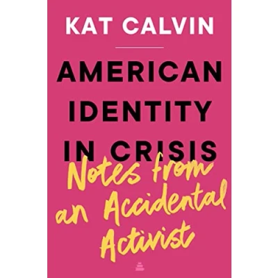 Afbeelding van American Identity in Crisis: Notes from an Accidental Activist