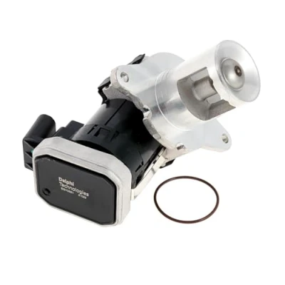 Afbeelding van DELPHI EG10621 12B1 EGR klep Zonder AGR koeler