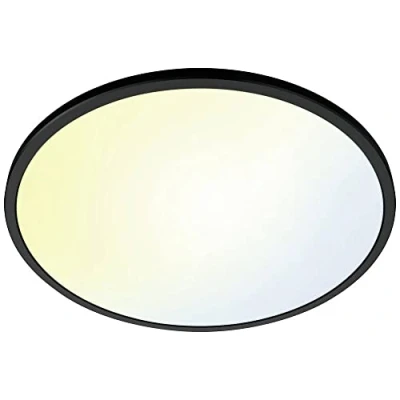 Afbeelding van WIZ Plafondlamp Super Slim 22 W Zwart (55495500)