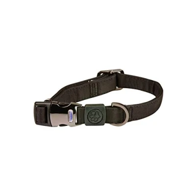 Image de Weatherbeeta Collier pour Chien Elegance Noir XS