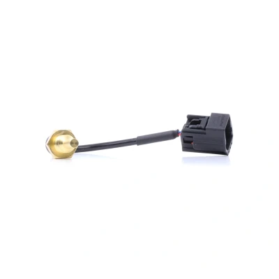 Afbeelding van DELPHI TS10493 Koelmiddeltemperatuursensor