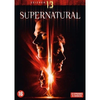 Afbeelding van Supernatural Seizoen 13 (DVD)