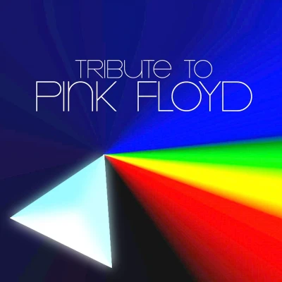 Afbeelding van Pink Floyd, Tribute To