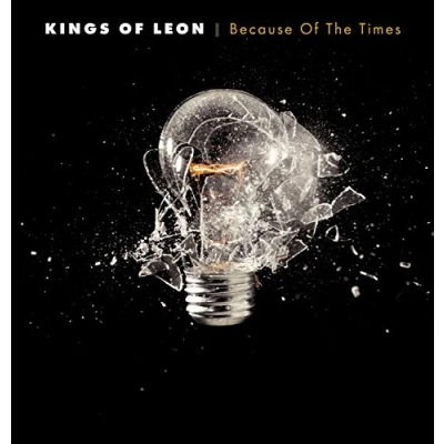Afbeelding van Kings of Leon Because the Times (2 LPs)