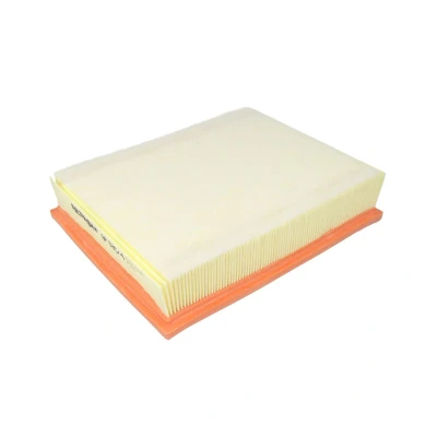 Afbeelding van FILTRON AP 135/4 Luchtfilter 54 197 247 Filter insert RENAULT: Laguna 3 Grandtour, 3, III Coupe