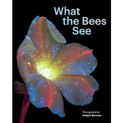 Image de What the Bees See