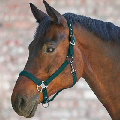 Afbeelding van Waldhausen Halster Gloomy Fir Green Full