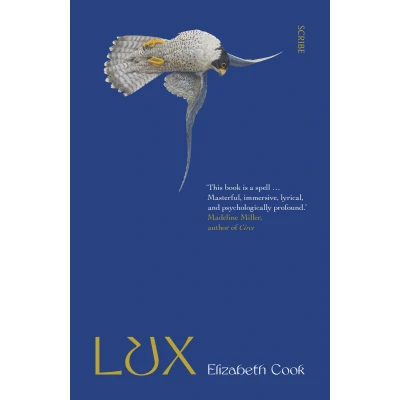 Afbeelding van Lux