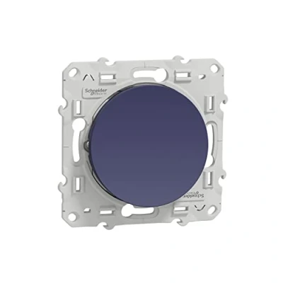 Afbeelding van Schneider Electric S550204 Odace, heen en weer, 10 A, schroef, kobalt