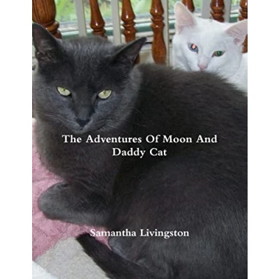 Afbeelding van The Adventures Of Moon And Daddy Cat