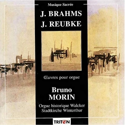 Afbeelding van Orgue Historique Walcker/