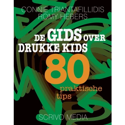 Afbeelding van De gids over drukke kids