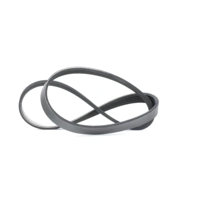 Afbeelding van Poly V riem MEYLE 050 005 0890