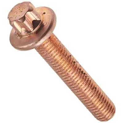 Afbeelding van Auger Schroef 51541