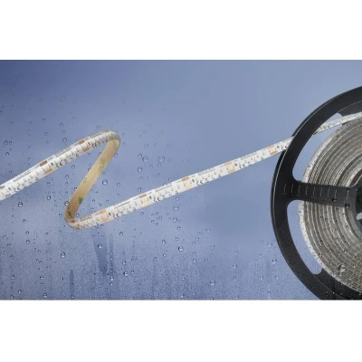 Afbeelding van Barthelme Basic 51540134 LED strip Met open kabeleinde 24 V 5 m Koudwit 1 stuk(s)
