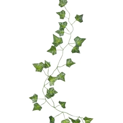 Afbeelding van Ginger ray 5 Plantenslingers Feestdecoratie Groen Plastic