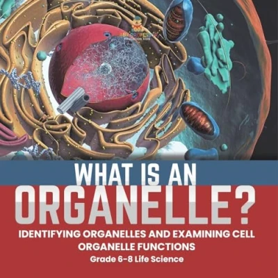 Afbeelding van What is an Organelle? Identifying Organelles and Examining Cell Organelle Functions Grade 6 8 Life Science