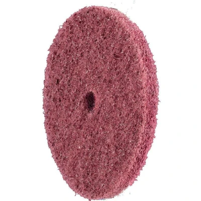 Afbeelding van PFERD 44693102 Vliesschijf 100 mm 10 stuk(s)