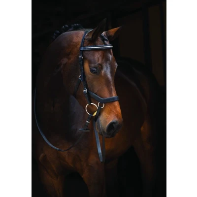 Afbeelding van Horseware Rambo Micklem Diamante Competition Bridle Zwart Pony