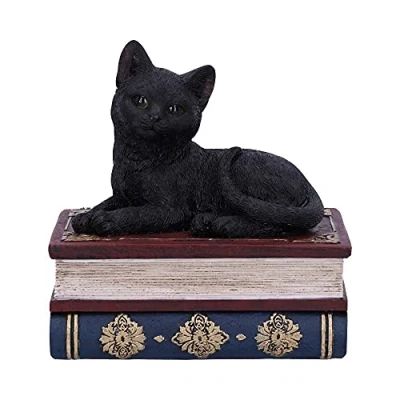 Afbeelding van Nemesis Now Salems Spreuken Heksen Familiar Zwarte Kat en Spreukenboek Doos Verzamelbaar Figuur 11.7cm