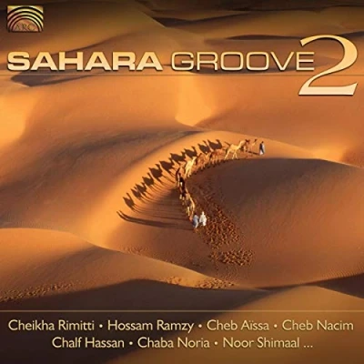 Afbeelding van Various Artists Sahara Groove 2 (CD)