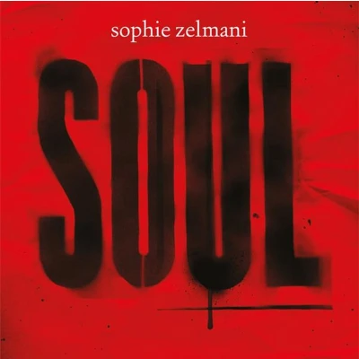 Afbeelding van Sophie Zelmani Soul (LP)