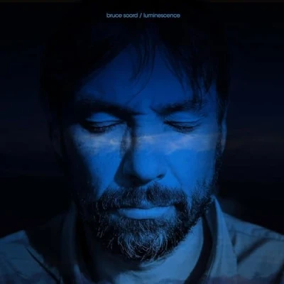 Afbeelding van Bruce Soord Luminescence (LP)