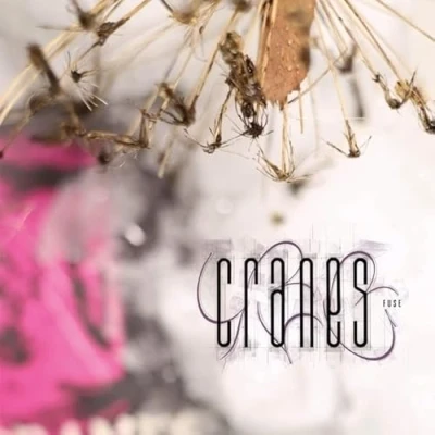 Afbeelding van Cranes Fuse (LP) (Coloured Vinyl)