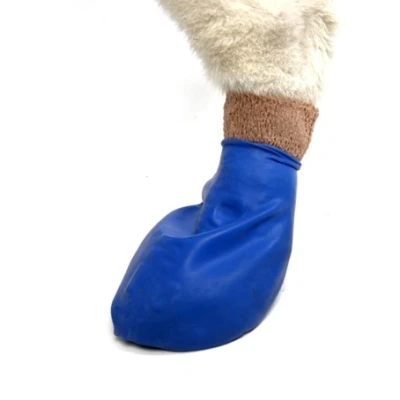 Afbeelding van Pawz Rubber Dog Boots Hondenschoen Blauw Medium