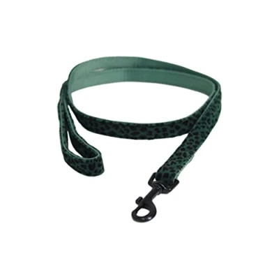Image de Kentucky Laisse pour Chien Léopard Vert 120cm