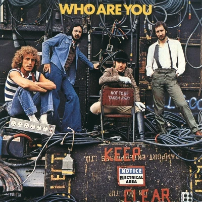 Afbeelding van Who Are You (LP)