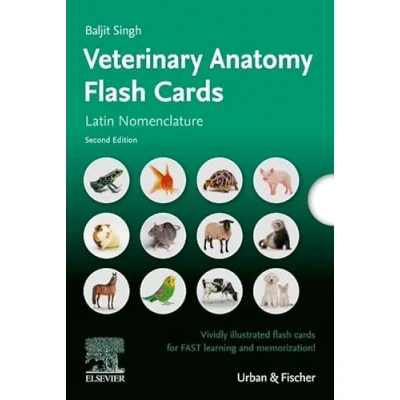 Afbeelding van Lernkarten Veterinäranatomie / Veterinary Anatomy Flash Cards
