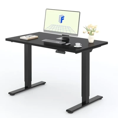 Afbeelding van FLEXISPOT 2 motoren, staand, 120 x 60 cm, eendelig, elektrisch stabureau met paneel geheugenfuncties, in hoogte verstelbaar bureau, belasting 100 kg, zwart +