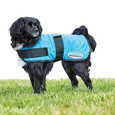 Afbeelding van Weatherbeeta Koeljas voor honden, 25 cm, blauw