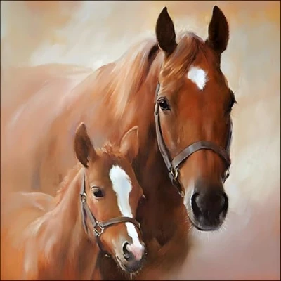 Afbeelding van Ambiente Handdoek paard met veulen 20 handdoeken per verpakking
