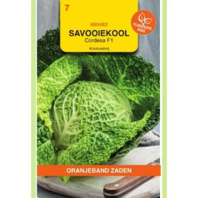 Afbeelding van Savooiekool cordesa f1