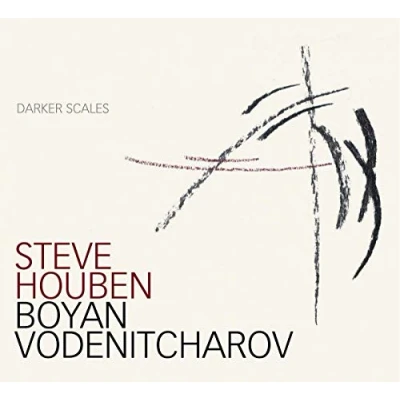 Afbeelding van Steve Houben Darker Scales (CD)