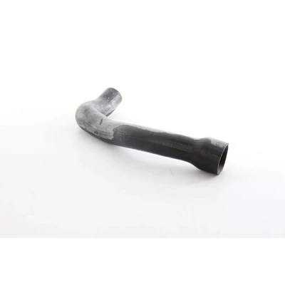 Afbeelding van BSG Laadlucht /turboslang 60 720 007