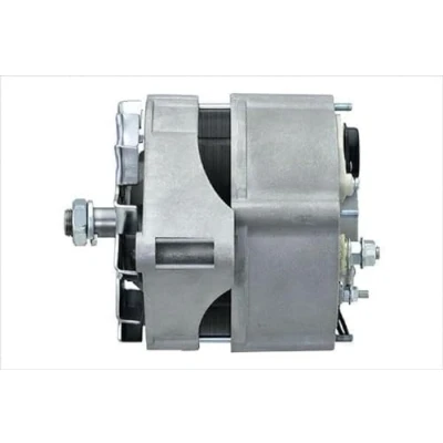 Afbeelding van HELLA 8EL 015 643 311 Dynamo / Alternator 14V 65A