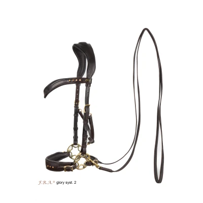 Image de F.R.A. Bridon Glory Hackamore Cuir avec Perles Marron Full