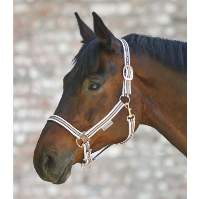 Afbeelding van Waldhausen Halster Shine Wit/Rosé Cob