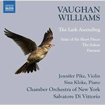 Afbeelding van Chamber Orchestra Of New York, Salvator Di Vittorio Vaughan Williams: The Lark Ascending (CD)